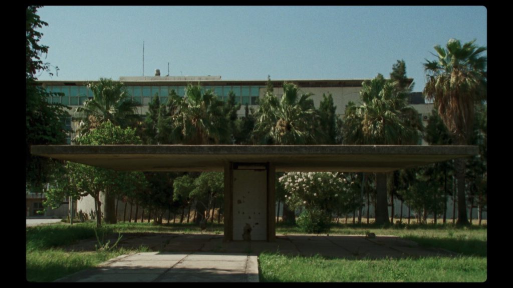 Building with palm trees and bushes in front