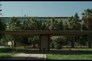 Building with palm trees and bushes in front