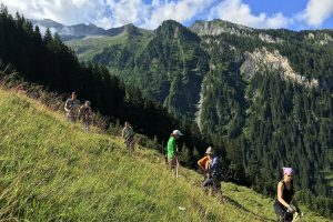 several people on a steep meadow with scythes in their hands, high mountains behind them