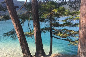 3 trees directly on the shore of a turquoise blue lake