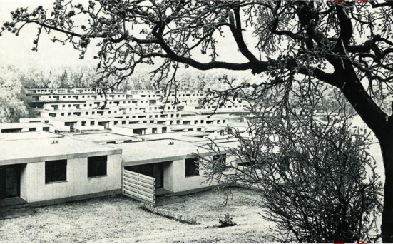 b/w photo with a housing estate with a tree in front of it