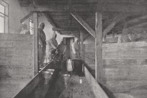 schwarz-weiß Foto mit Menschen in weißen Schutzanzügen die mit Sprühgeräten arbeiten