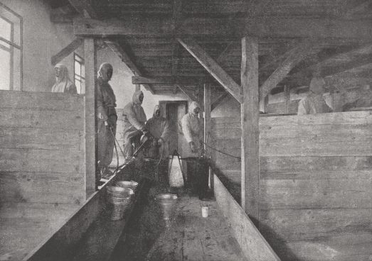 schwarz-weiß Foto mit Menschen in weißen Schutzanzügen die mit Sprühgeräten arbeiten