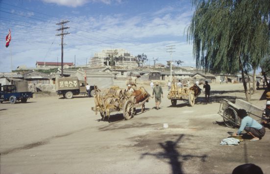 Straßenszene mit Pferdekarren und Häusern im Hintergrund