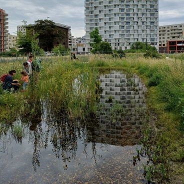a pond surrounded by a large meadow, with several multi-story apartment buildings behind it