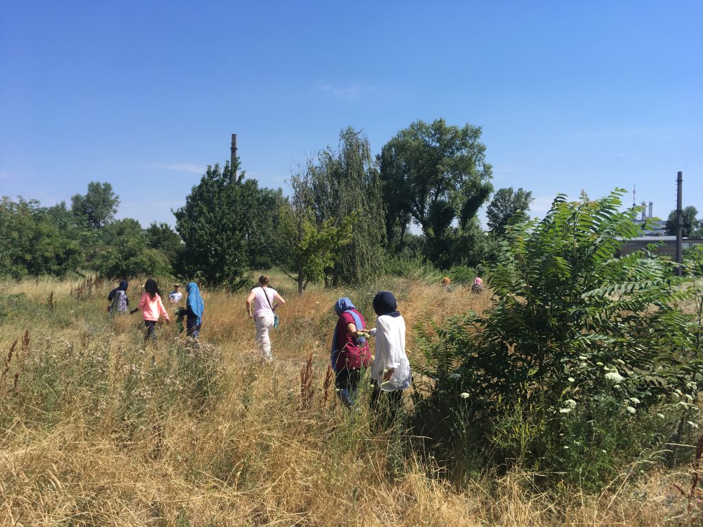 mehrere Personen gehen durch eine wildgewachsene sehr hofe Wiese, die Sonne scheint bei blauem Himmel