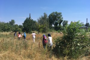 © Foto: Cristian Stefanescu mehrere Personen gehen durch eine wildgewachsene sehr hofe Wiese, die Sonne scheint bei blauem Himmel